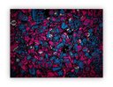 Ver imagem 1 de Quadro Decorativo Abstrato Artes Parede - 03