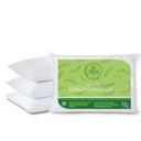 Ver imagem 1 de KIT 4 Travesseiros Pluma de Ganso Ecologica Casa Dona 50x70cm 200 fios