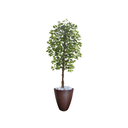 Ver imagem 1 de Planta Artificial Ficus Verde 2,10m kit + Vaso Redondo Marrom 40cm
