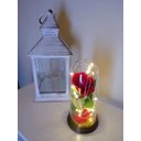 Ver imagem 2 de Luminária Cúpula a Bela e a Fera Rosa Encantada Aveludada - Ouro-envelhecido - Vermelha