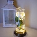 Ver imagem 2 de Luminária Cúpula a Bela e a Fera Rosa Encantada Aveludada - Ouro-envelhecido - Branco