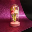 Ver imagem 2 de Crisântemo Luminária Encantada Rosa Bebê