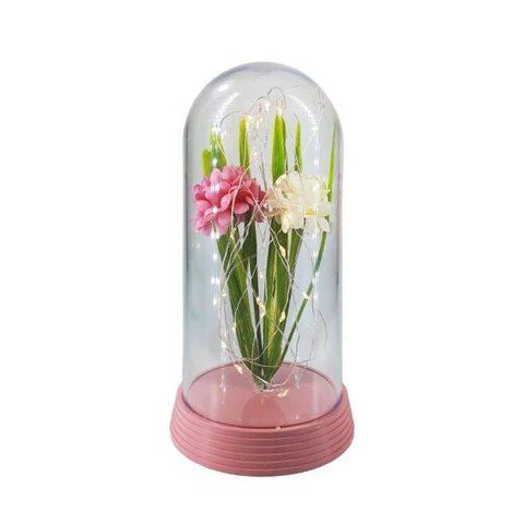 Crisântemo Luminária Encantada Rosa Bebê