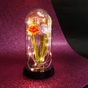Ver imagem 2 de Crisântemo Luminária Encantada Preto