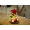 Ver imagem 3 de Porta Aliança Cúpula Redoma a Bela e a Fera Rosa Encantada