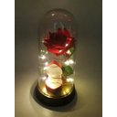 Ver imagem 4 de Porta Aliança Cúpula Redoma a Bela e a Fera Rosa Encantada