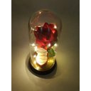 Ver imagem 5 de Porta Aliança Cúpula Redoma a Bela e a Fera Rosa Encantada