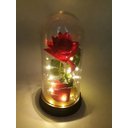 Ver mais imagens de Porta Aliança Cúpula Redoma a Bela e a Fera Rosa Encantada