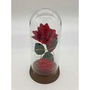 Ver imagem 7 de Porta Aliança Cúpula Redoma a Bela e a Fera Rosa Encantada