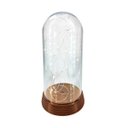 Ver imagem 1 de Luminária Abajur Cúpula Redoma Leds Luzes de Fadas - Ouro Velho