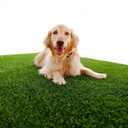 Grama Sintética 22mm identica a natural (50m²) 2,00m x 25,00m Eurograss - 3
