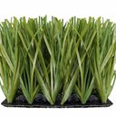 Ver imagem 2 de Grama Sintética 22mm Identica a Natural (50m²) 2,00m X 25,00m Eurograss