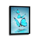 Ver imagem 1 de Quadro Borboletas Azuis