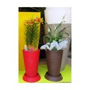Ver imagem 2 de Kit Vaso Planta + Prato 35x25 Redondo Cônico Polietileno BGPLASTICOS VERMELHO PAU BRASIL 005