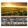 Papel De Parede Plantação Adega Uva Vinha 2x1m Paisagem S95 - 1