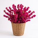 Ver imagem 6 de 9 Hastes de Cerejeira Artificial 125cm para Vasos e Arranjos Decorativos