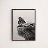 Quadro Decorativo Gato Com Borboleta 45x34cm - com vidro:Madeira branca - 1