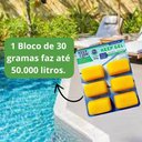 Ver imagem 2 de Clarificante em Gel para Piscinas Keep Gel 6 Blocos 180g