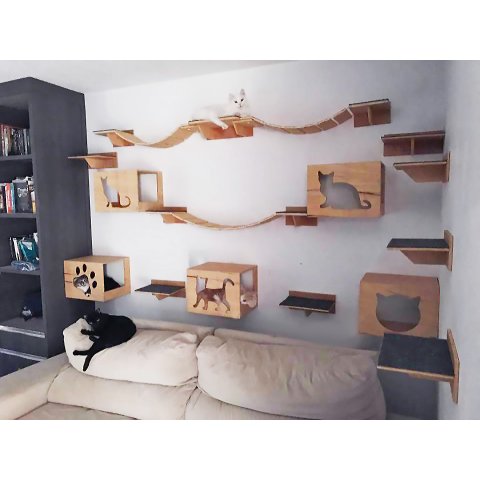 Kit Play 20 Peças para Gatos