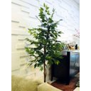 Ver imagem 1 de Planta Artificial Árvore Ficus Classic 1,60 metros de altura