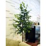 Planta Artificial Árvore Ficus Classic 1,60 metros de altura - 1