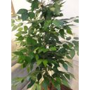 Ver imagem 3 de Planta Artificial Árvore Ficus Classic 1,60 metros de altura