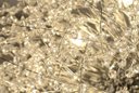 Ver imagem 4 de Lustre Plafon Cristal Flor Dente de Leão 50cm para Sala Estar Jantar e Quarto Cor: Cromado