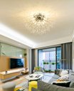 Ver imagem 3 de Lustre Plafon Cristal Flor Dente de Leão 50cm para Sala Estar Jantar e Quarto Cor: Cromado