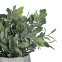 Ver imagem 2 de Planta Artificial Home Style Salv