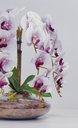 Ver imagem 3 de Arranjo Grande Vaso com 4 Flores Realistas de Orquídeas