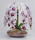 Ver imagem 4 de Arranjo Grande Vaso com 4 Flores Realistas de Orquídeas