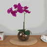 Arranjo de Orquídea Para Mesa, Sala, Escritório Flor Artificial Realista Casa e Sonho Arranjo de Orq - 1