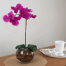 Arranjo de Orquídea Para Mesa, Sala, Escritório Flor Artificial Realista Casa e Sonho Arranjo de Orq - 4