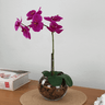 Arranjo de Orquídea Para Mesa, Sala, Escritório Flor Artificial Realista Casa e Sonho Arranjo de Orq - 2