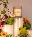 Ver imagem 2 de Vela Aromática Patbo Lotus Garden 210g Lenvie