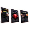 Ver imagem 1 de Kit Quadro Macacos Bandidos Canvas sem Vidro