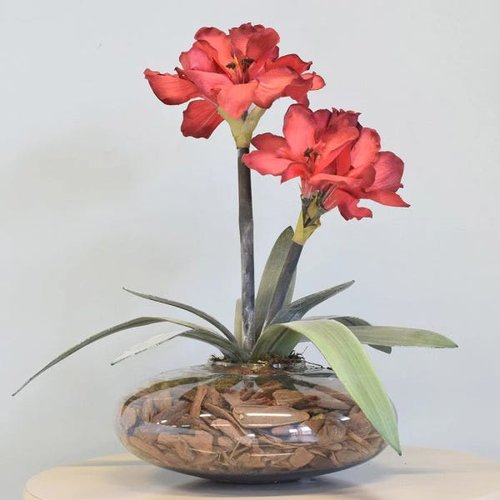 Flores artificiais Arranjos de Flores Amarílis Vermelho no Vaso de Vidro|Linha permanente | MadeiraMadeira Flores artificiais Arranjos de Flores Amarílis Vermelho no Vaso de Vidro|Linha permanente | MadeiraMadeira