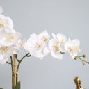 Ver imagem 2 de Arranjo com Duas Orquídeas Artificiais Branca no Vaso de Vidro Transparente