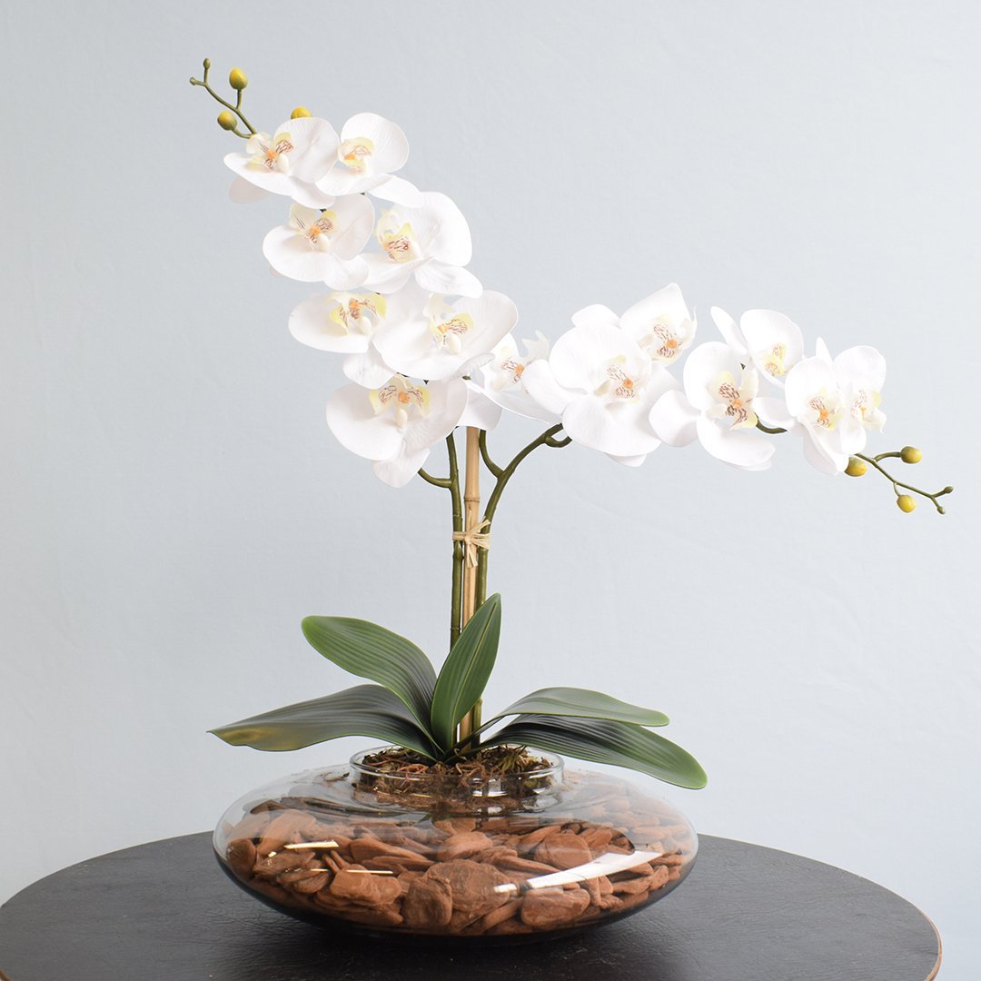 Arranjo com Duas Orquídeas Artificiais Branca no Vaso de Vidro Transparente - 1