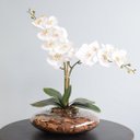 Ver imagem 1 de Arranjo com Duas Orquídeas Artificiais Branca no Vaso de Vidro Transparente