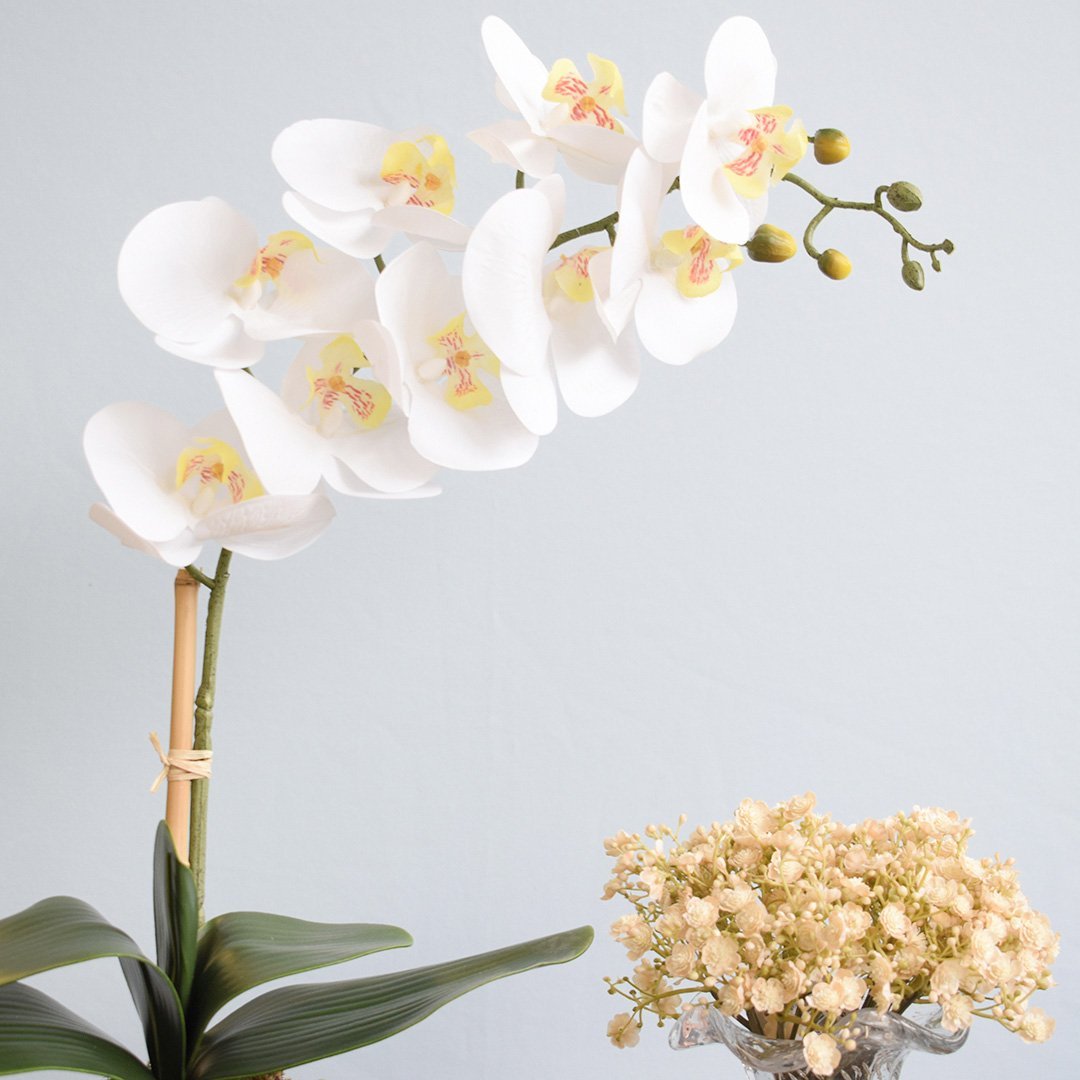 Arranjo de Orquídea Branca de Silicone No Vaso Vidro Transparente | Linha Permanente Formosinha - 2