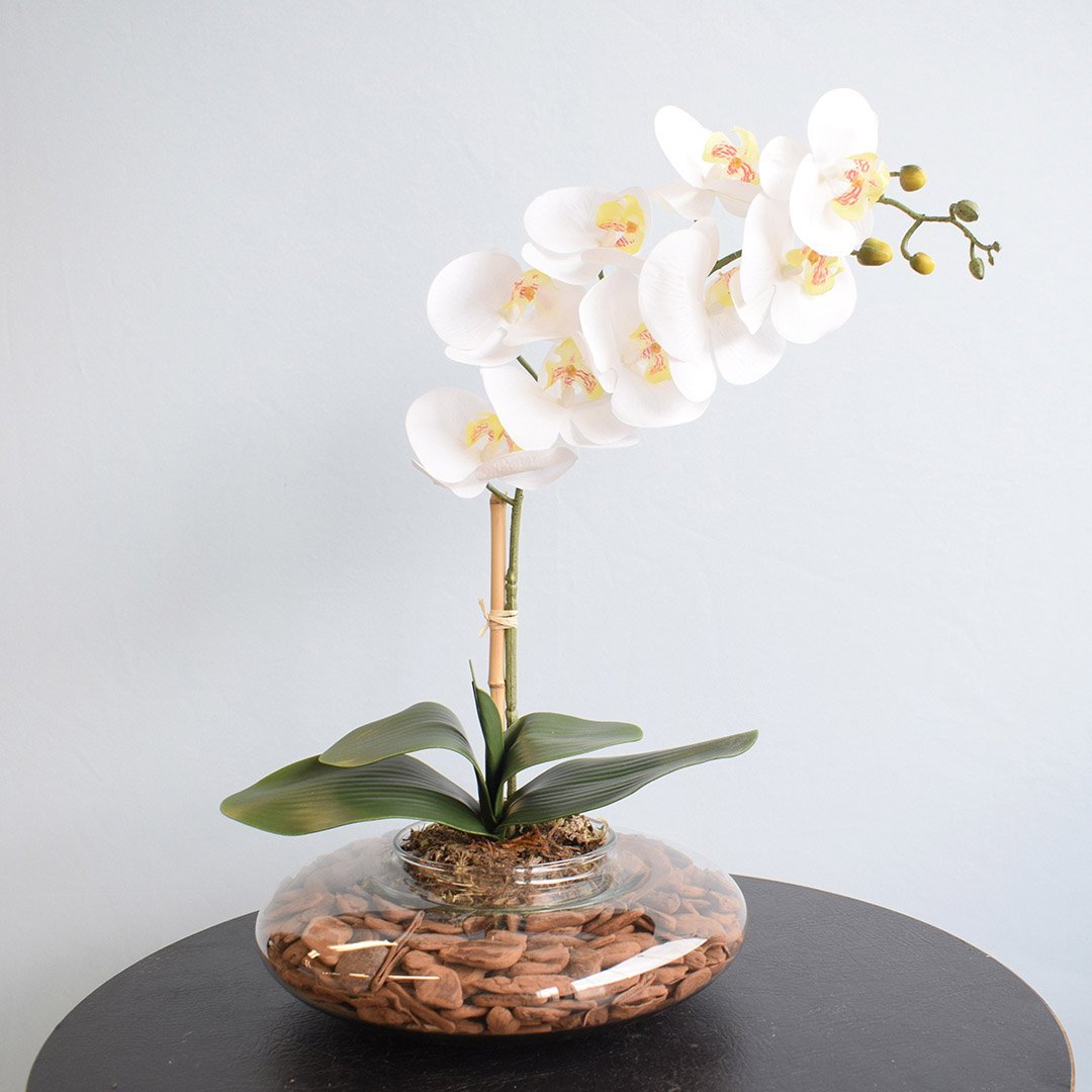 Arranjo de Orquídea Branca de Silicone No Vaso Vidro Transparente | Linha Permanente Formosinha - 3