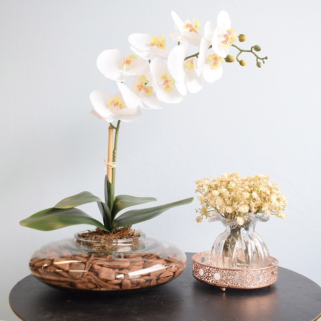 Arranjo de Orquídea Branca de Silicone No Vaso Vidro Transparente | Linha  Permanente Formosinha - Melhora o Preço