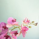 Ver imagem 2 de Arranjo de Orquídea Artificial Rosa no Vaso Vidro Transparente | Linha Permanente Formosinha
