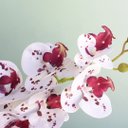 Ver imagem 3 de Arranjo de Orquídea Artificial 3d Tigre no Vaso Vidro Transparente | Linha Permanente Formosinha