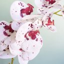 Ver imagem 4 de Arranjo de Orquídea Artificial 3d Tigre no Vaso Vidro Transparente | Linha Permanente Formosinha
