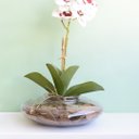 Ver imagem 2 de Arranjo de Orquídea Artificial 3d Tigre no Vaso Vidro Transparente | Linha Permanente Formosinha
