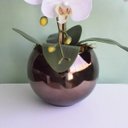 Ver imagem 5 de Arranjo de Flores Artificiais |Arranjo de Orquídeas Silicone Brancas no Vaso Vidro Bronze