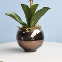 Ver imagem 3 de Arranjo de Orquídea Rosa 3D no Vaso Bronze Pequeno | Linha Permanente Formosinha