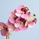 Ver imagem 2 de Arranjo de Orquídea Rosa 3D no Vaso Bronze Pequeno | Linha Permanente Formosinha